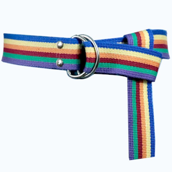 Gökkuşağı Palaska Silver Renk D Şeklinde Tokalı Kadın Genç Çocuk Kemer