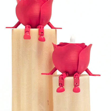 3D Büyük Hareketli Işıklı Güller