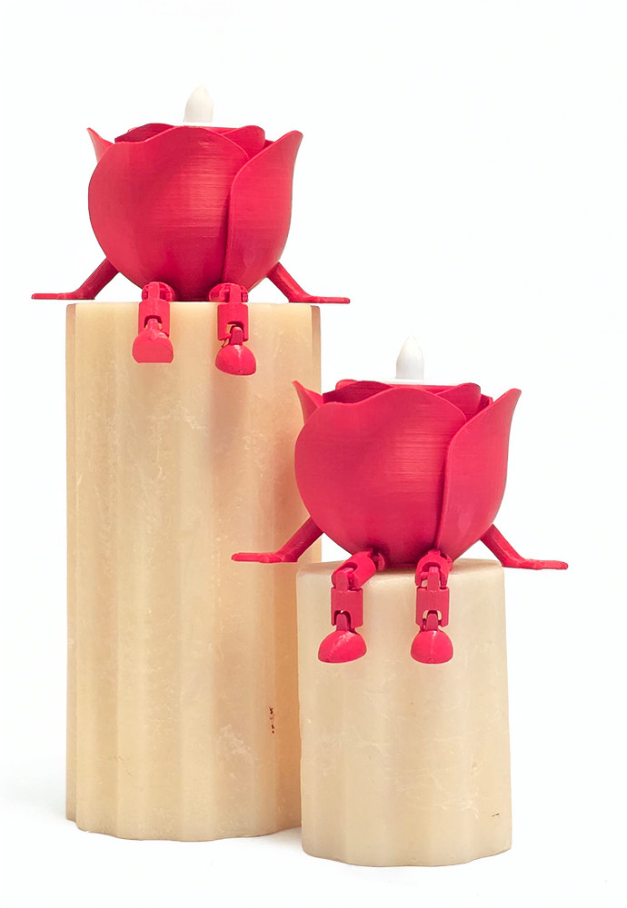 3D Büyük Hareketli Işıklı Güller